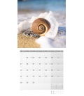 Wall calendar Muscheln Kalender 2022