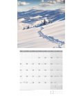 Wall calendar Traumpfade Kalender 2022