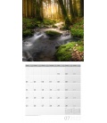 Wall calendar Magie des Lichts Kalender 2022