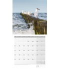 Wall calendar Am Meer Kalender 2022