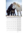 Nástěnný kalendář Koně / Pferde Kalender 2022