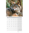 Wall calendar Wölfe Kalender 2022