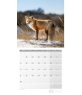 Nástěnný kalendář Lesní zvěř / Heimische Wildtiere Kalender 2022