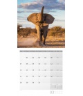 Wall calendar Elefanten Kalender 2022