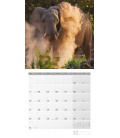 Wall calendar Elefanten Kalender 2022
