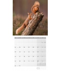 Nástěnný kalendář Veverky / Eichhörnchen Kalender 2022