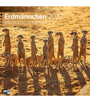 Wall calendar Erdmännchen Kalender 2022