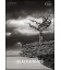 Wandkalender BLACK & WHITE I FINE ART PHOTOGRAPHY 2022