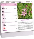Stolní kalendář Léčivé rostliny mini 2023