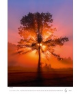 Nástěnný kalendář Trees/Bäume/Stromy 2023