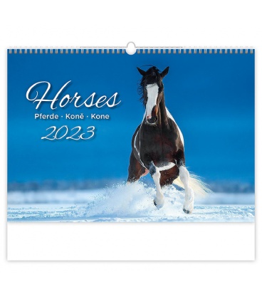 Wandkalender Horses/Pferde/Koně/Kone 2023