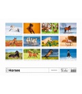 Wall calendar Horses/Pferde/Koně/Kone 2023