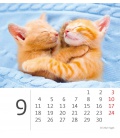Stolní kalendář Mini Kittens 2023