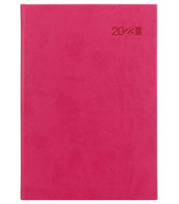 Tagebuch - Terminplaner A5 Viva rosa 2023