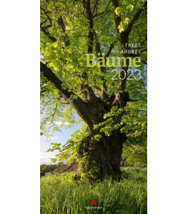 Wall calendar Bäume Kalender 2023