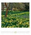 Wall calendar Paradiesische Gärten Kalender 2023