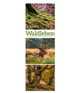 Wall calendar Waldleben - Ein Spaziergang durch heimische Wälder, Triplet-Kalender 2023