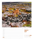 Wall calendar Irland - Wochenplaner Kalender 2023