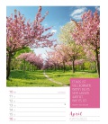 Wall calendar Augenblicke der Achtsamkeit - Wochenplaner Kalender 2023
