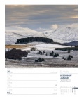 Wall calendar Schottland - Wochenplaner Kalender 2023