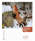Wandkalender Tierisch! Sprüchekalender - Wochenplaner Kalender 2023