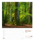 Wall calendar Unser Wald - Wochenplaner Kalender 2023