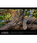 Wall calendar Tierwelt Afrika Kalender 2023