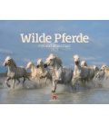 Wall calendar Wilde Pferde Kalender 2023