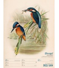 Wandkalender Wunderbare Vogelwelt - Wochenplaner Kalender 2023