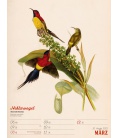 Wall calendar Wunderbare Vogelwelt - Wochenplaner Kalender 2023