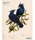 Wandkalender Wunderbare Vogelwelt - Wochenplaner Kalender 2023