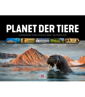 Wall calendar Planet der Tiere Kalender 2023