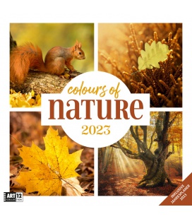 Wall calendar Colours of Nature Kalender 2023