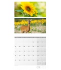 Wall calendar Colours of Nature Kalender 2023