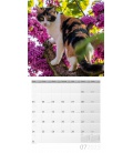 Wall calendar Katzen Kalender 2023