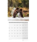 Wall calendar Bären Kalender 2023