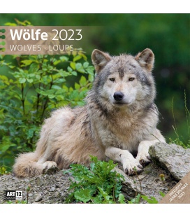 Wall calendar Wölfe Kalender 2023