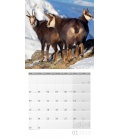 Wandkalender Heimische Wildtiere Kalender 2023