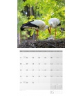 Wall calendar Heimische Wildtiere Kalender 2023