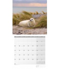 Nástěnný kalendář Lesní zvěř / Heimische Wildtiere Kalender 2023