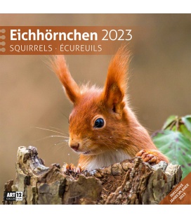 Wall calendar Eichhörnchen Kalender 2023