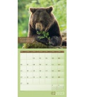 Wall calendar Keep Smiling! Kalender 2023