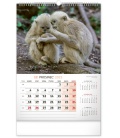 Wall calendar Za zvířaty do divočiny 2023