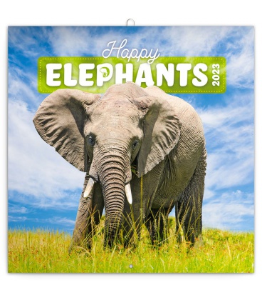 Wall calendar poznámkový Šťastní sloni 2023