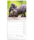 Wall calendar poznámkový Šťastní sloni 2023