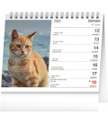 Table calendar Kočky – se jmény koček 2023