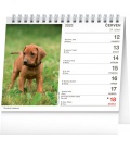 Table calendar Psi – se jmény psů 2023