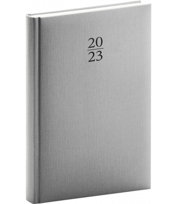 Daily diary A5 Capys silver 2023