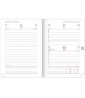 Daily diary A5 Capys silver 2023