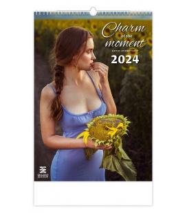 Wall calendar Charm of the Moment 2024